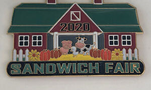 2020 pin sandwich fair